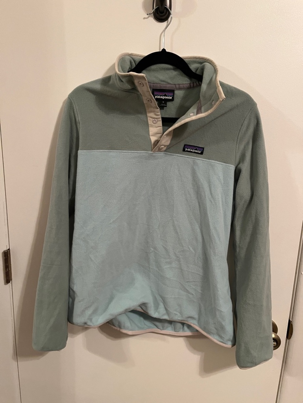 Patagonia Two-Tone Fleece Pullover in Sage Green & Light Blue
